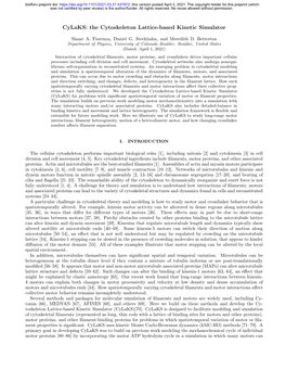 The Cytoskeleton Lattice-Based Kinetic Simulator