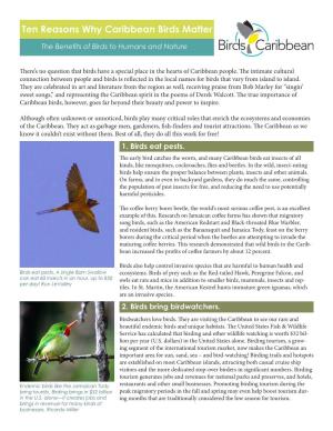 Ten Reasons Why Caribbean Birds Matter