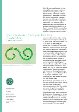 Cyanobacterial Nitrogen Fixation