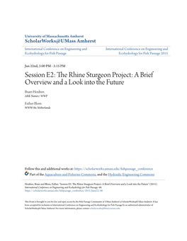 The Rhine Sturgeon Project: a Brief Overview and a Look Into the Future Bram Houben ARK Nature/ WWF
