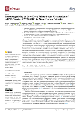Immunogenicity of Low-Dose Prime-Boost Vaccination of Mrna Vaccine CV07050101 in Non-Human Primates