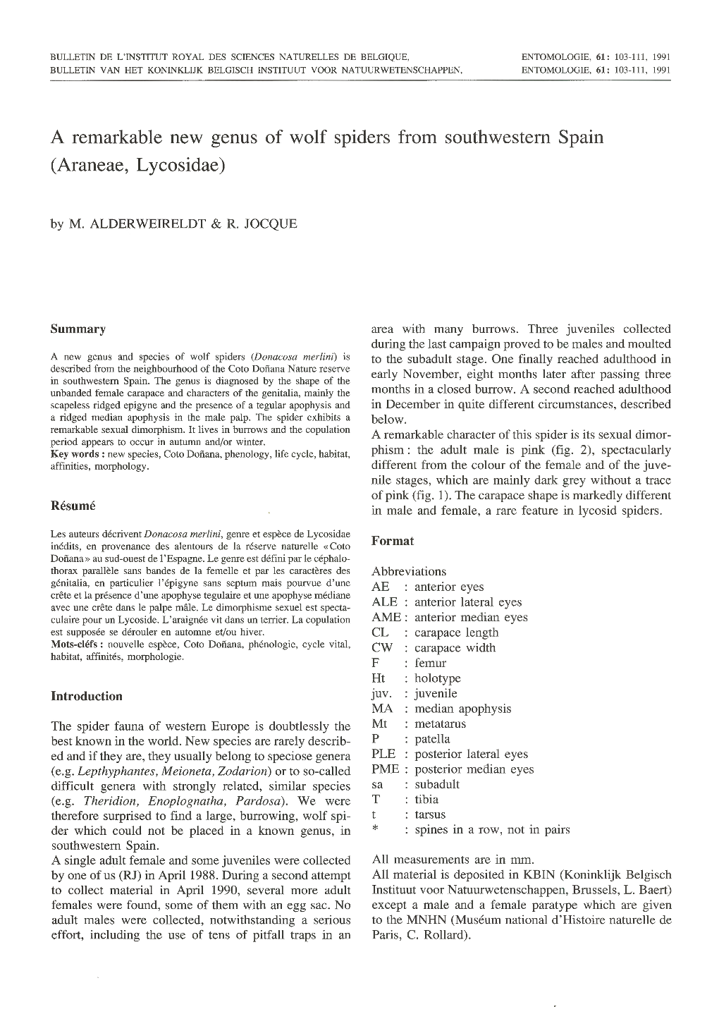 A Remarkable New Genus of Wolf Spiders from Southwestern Spain (Araneae, Lycosidae)