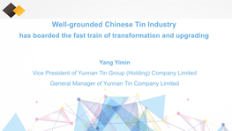 Well-Grounded Chinese Tin Industry Has Boarded the Fast Train of Transformation and Upgrading
