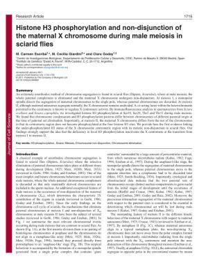 Histone H3 Phosphorylation and Non-Disjunction of the Maternal X Chromosome During Male Meiosis in Sciarid Flies