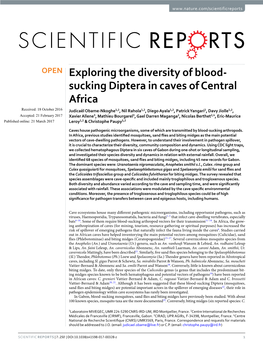 Exploring the Diversity of Blood-Sucking Diptera in Caves Of