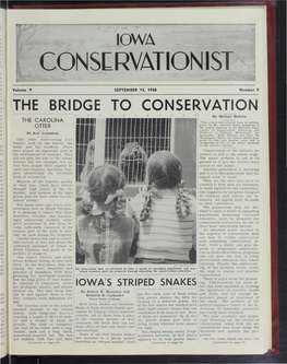 The Bridge to Conservation