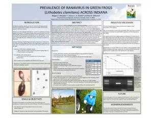 PREVALENCE of RANAVIRUS in GREEN FROGS (Lithobates Clamitans) ACROSS INDIANA Megan E