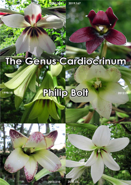 The Genus Cardiocrinum: Its Identification and Cultivation