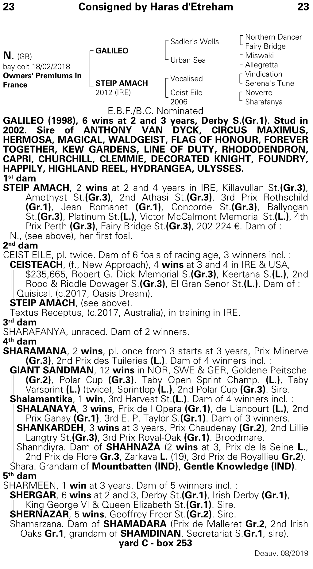 23 Consigned by Haras D'etreham 23