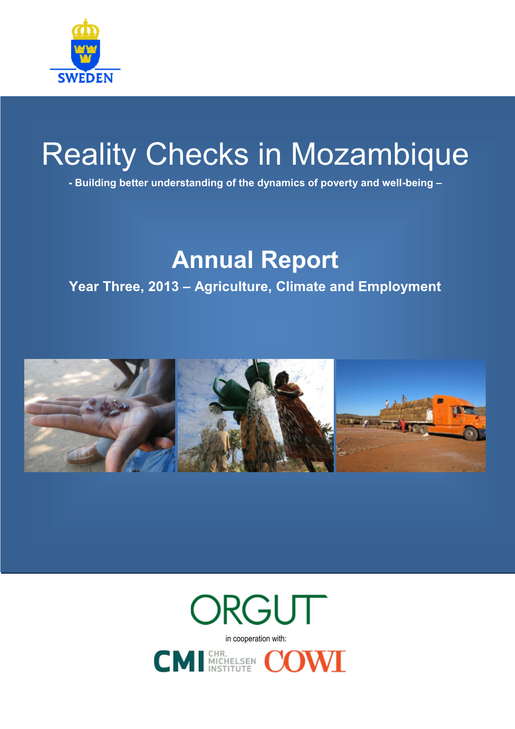 Reality Check Mozambique