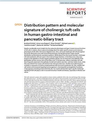 Distribution Pattern and Molecular Signature of Cholinergic Tuft Cells In
