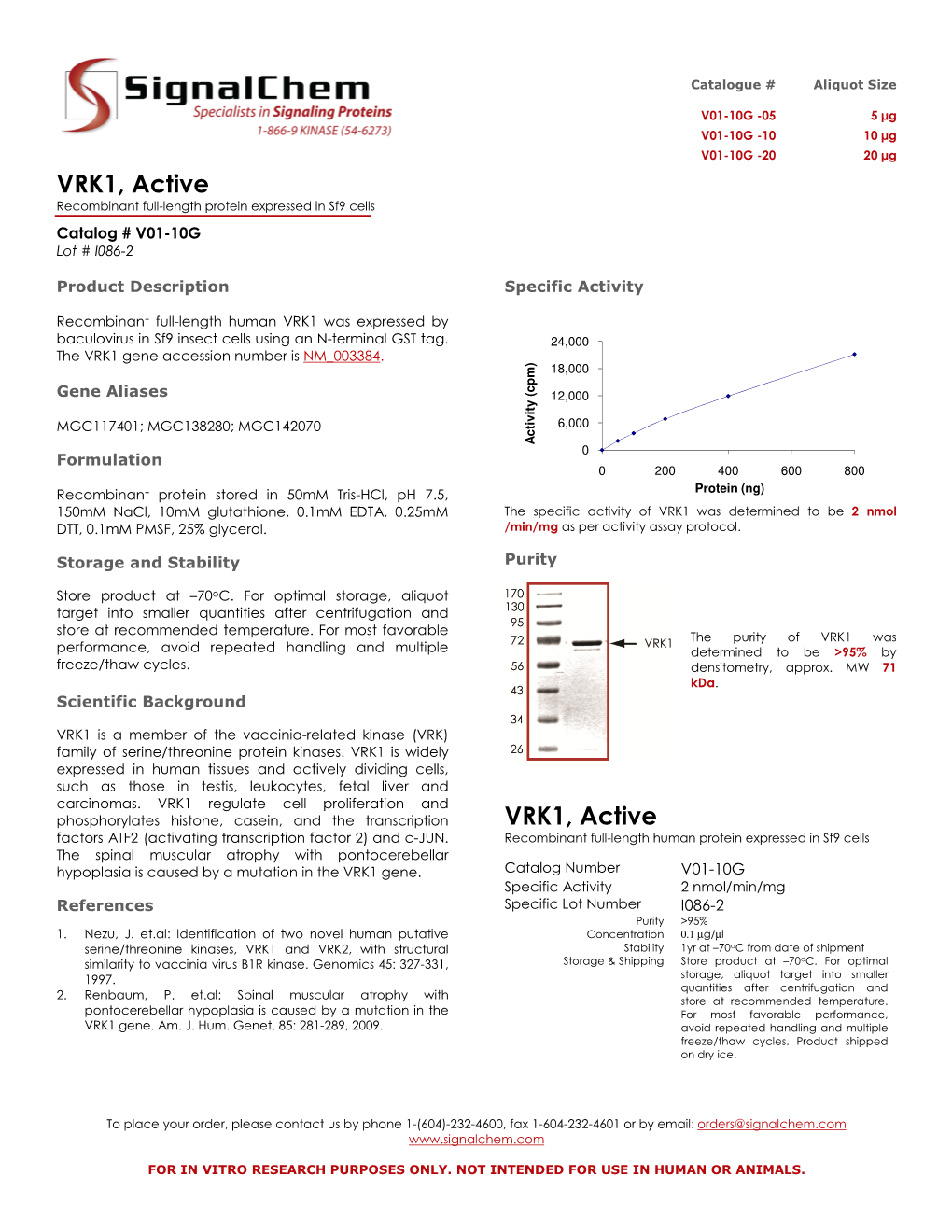 VRK1, Active VRK1, Active