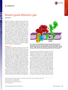 Nicastrin Guards Alzheimer's Gate