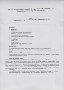 Methodic Materials Cranial Nerves