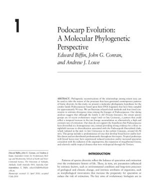 Podocarp Evolution: a Molecular Phylogenetic Perspective Edward Biffin, John G