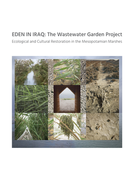 EDEN in IRAQ: the Wastewater Garden Project Ecological and Cultural Restoration in the Mesopotamian Marshes a PROJECT OF