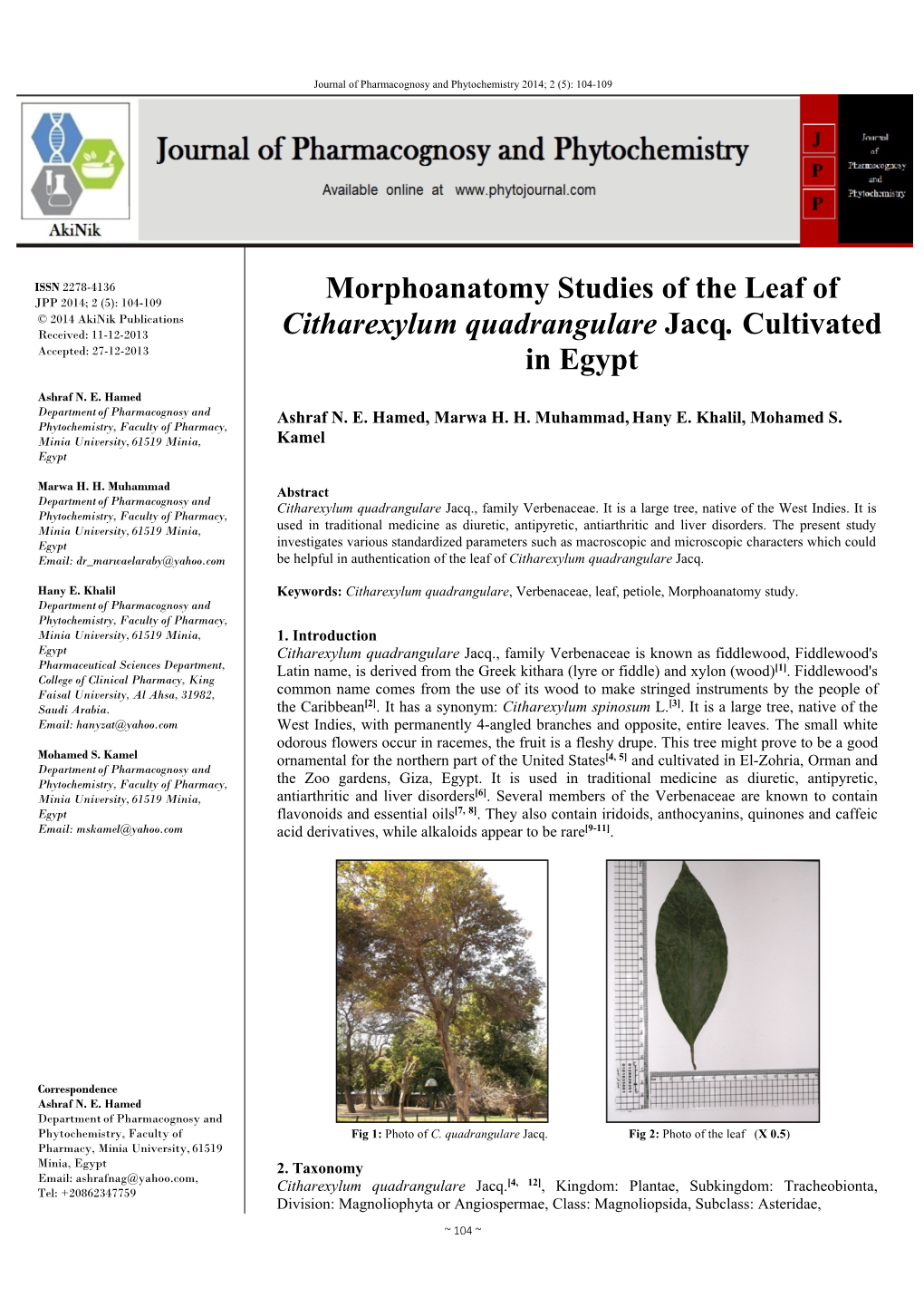 Morphoanatomy Studies of the Leaf of Citharexylum Quadrangulare Jacq. Cultivated in Egypt”, It Could Be Helpful in Authentication of the Leaf