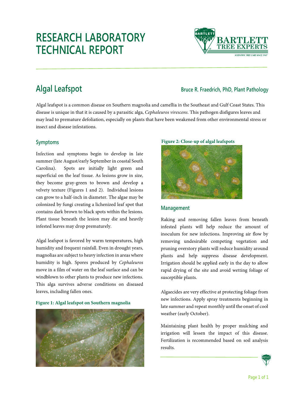 Algal Leafspot Bruce R