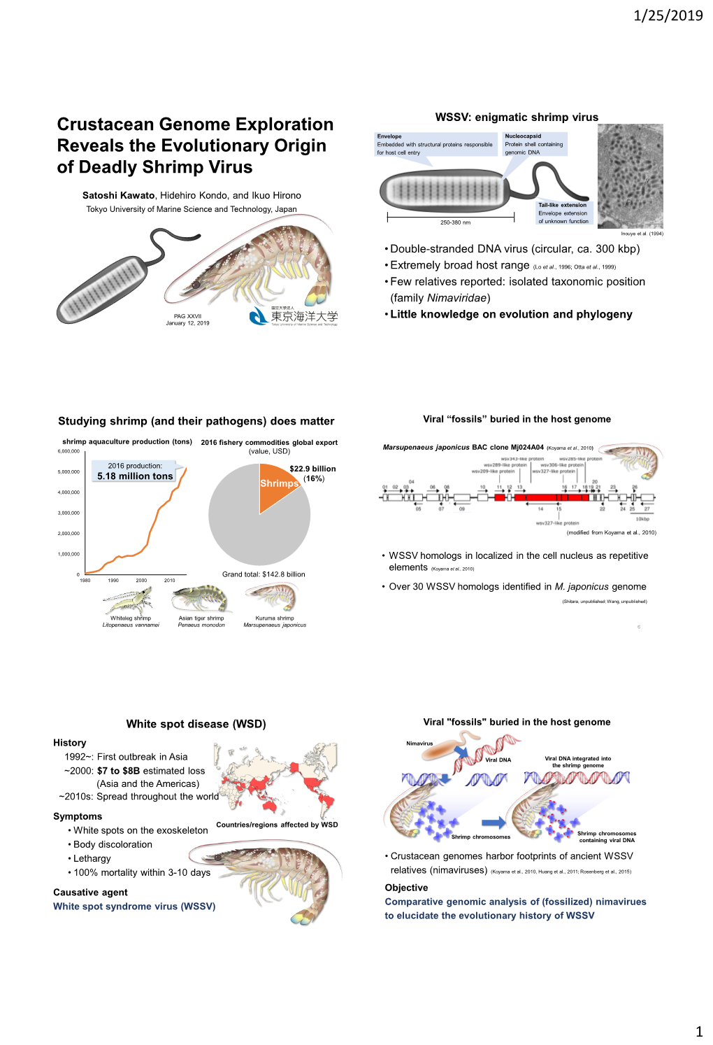 Crustacean Genome Exploration Reveals the Evolutionary Origin of White Spot Wsv192, Wsv267, Wsv282, Hypothetical Protein (13) Syndrome Virus