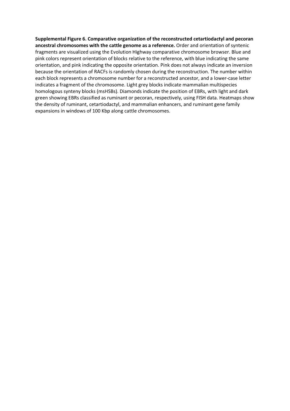 Supplemental Figure 6. Comparative Organization of the Reconstructed Cetartiodactyl and Pecoran Ancestral Chromosomes with the Cattle Genome As a Reference