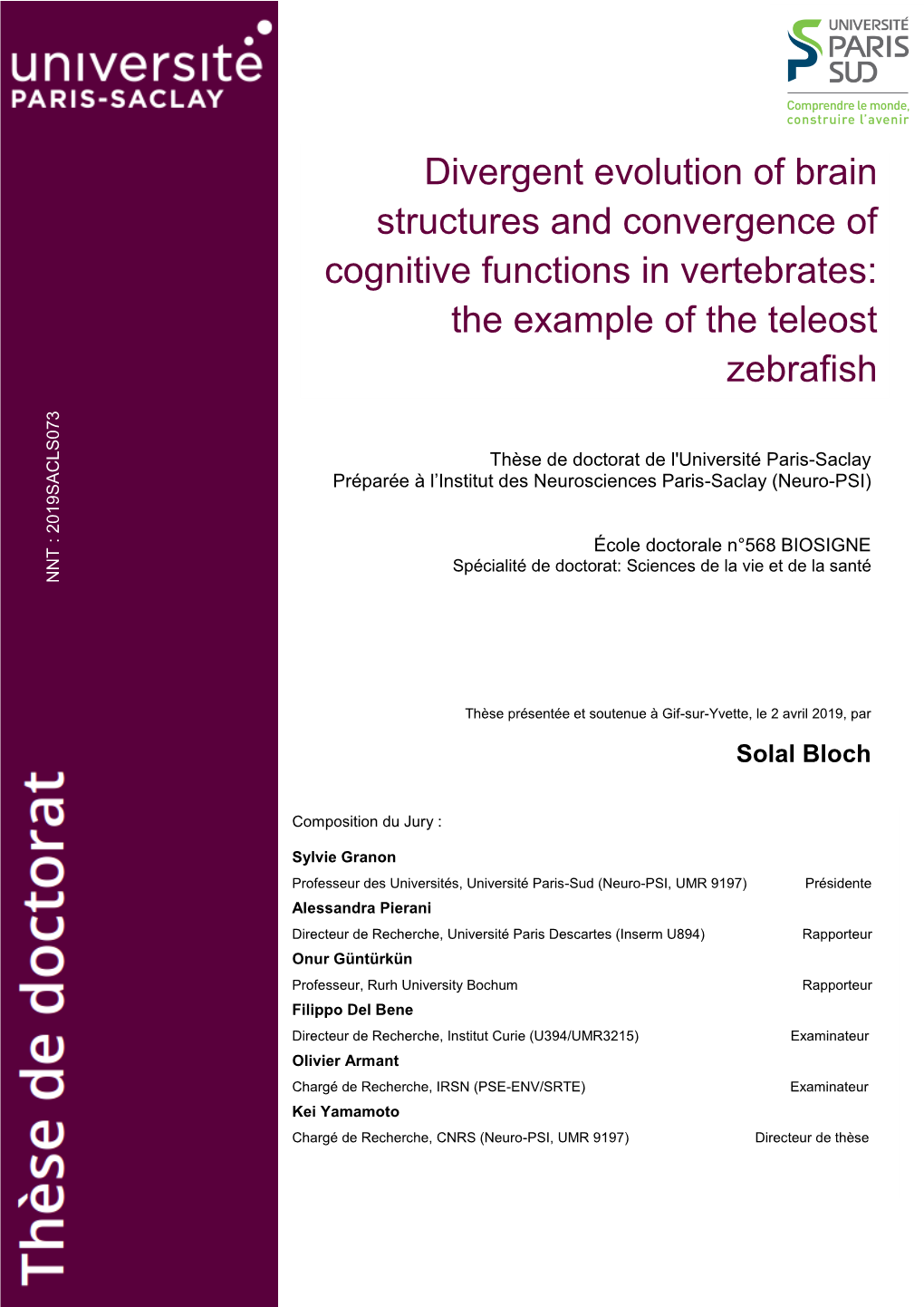 Divergent Evolution of Brain Structures and Convergence of Cognitive Functions in Vertebrates: the Example of the Teleost Zebrafish