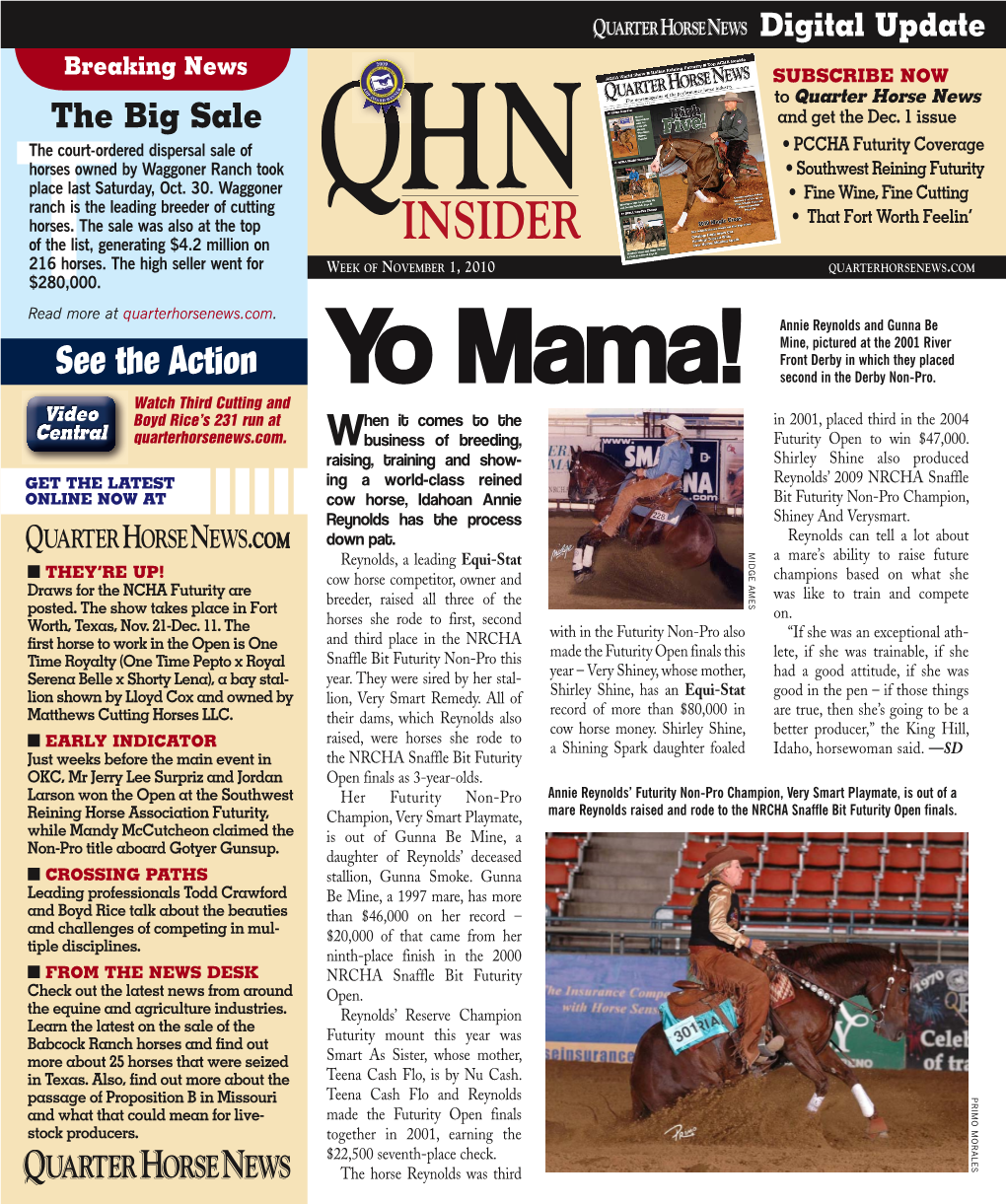 Yo Mama! Video Boyd Rice’S 231 Run at Hen It Comes to the in 2001, Placed Third in the 2004 Ccentralentral Quarterhorsenews.Com