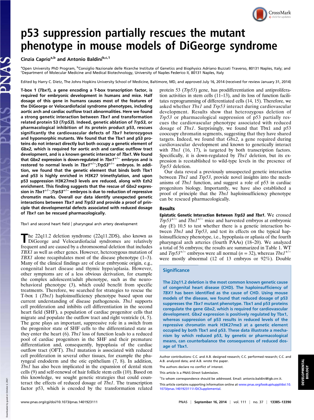 P53 Suppression Partially Rescues the Mutant Phenotype in Mouse Models of Digeorge Syndrome