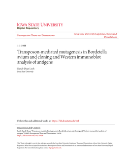 Transposon-Mediated Mutagenesis in Bordetella Avium and Cloning and Western Immunoblot Analysis of Antigens Randy Dean Leyh Iowa State University