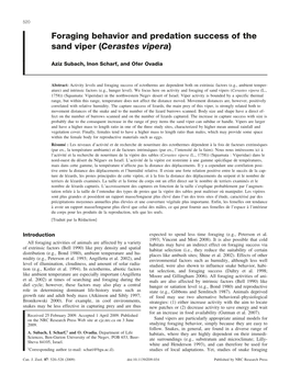 Foraging Behavior and Predation Success of the Sand Viper (Cerastes Vipera)