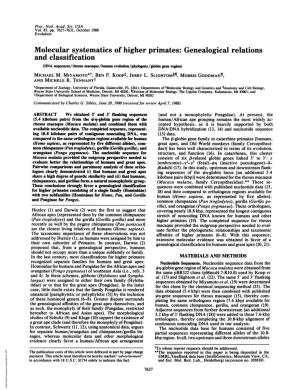Molecular Systematics of Higher Primates: Genealogical Relations