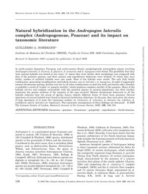 Natural Hybridization in the Andropogon Lateralis Complex (Andropogoneae, Poaceae) and Its Impact on Taxonomic Literature