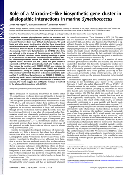 Role of a Microcin-C–Like Biosynthetic Gene Cluster in Allelopathic Interactions in Marine Synechococcus