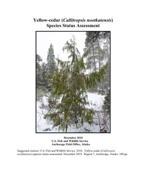 Yellow-Cedar (Callitropsis Nootkatensis) Species Status Assessment