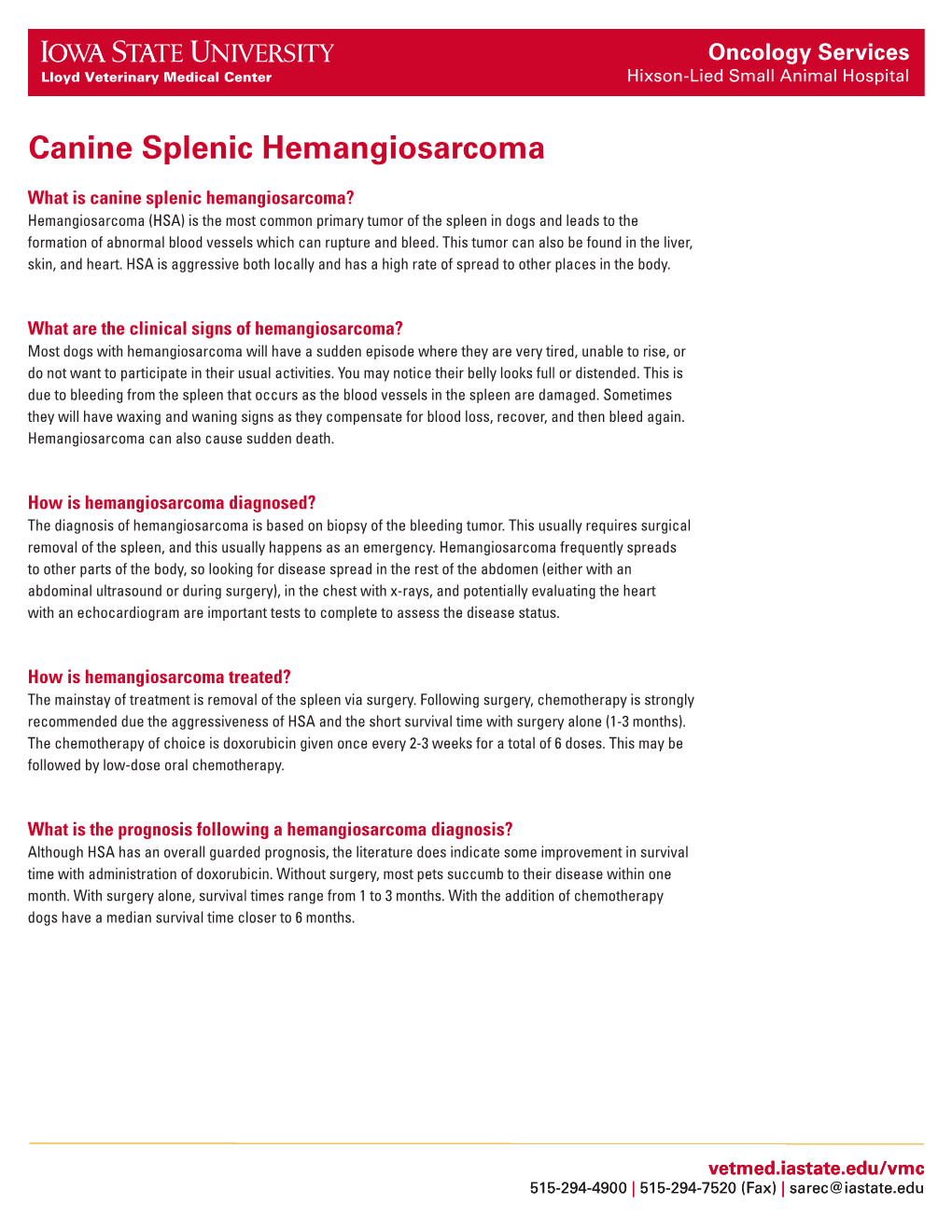 Canine Splenic Hemangiosarcoma