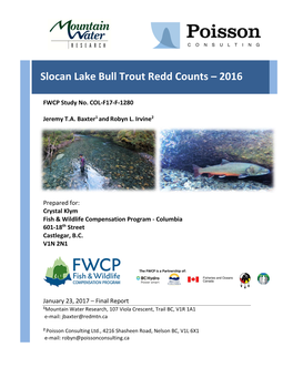 Slocan Lake Bull Trout Redd Counts (2016 FWCP)