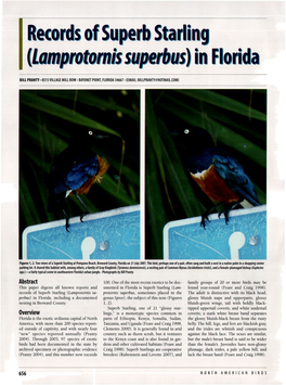Records of Superb Starling (&lt;I&gt;Lamprotornis Superbus&lt;/I&gt;) in Florida