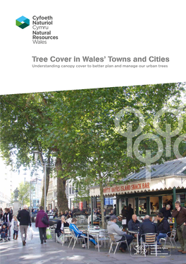 Tree Cover in Wales' Towns and Cities (Full Report)