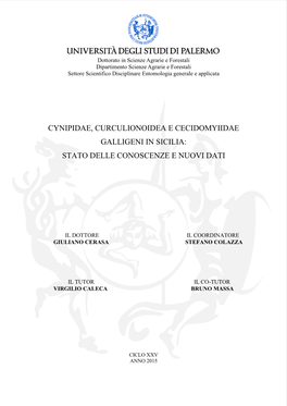 Cynipidae, Curculionoidea E Cecidomyiidae Galligeni in Sicilia: Stato Delle Conoscenze E Nuovi Dati