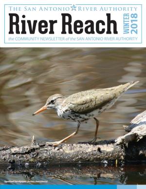 Spotted Sandpiper (Actitis Macularia) EXECUTIVE COMMITTEE Vision CHAIRMAN Inspiring Actions for Healthy Creeks and Rivers Michael W