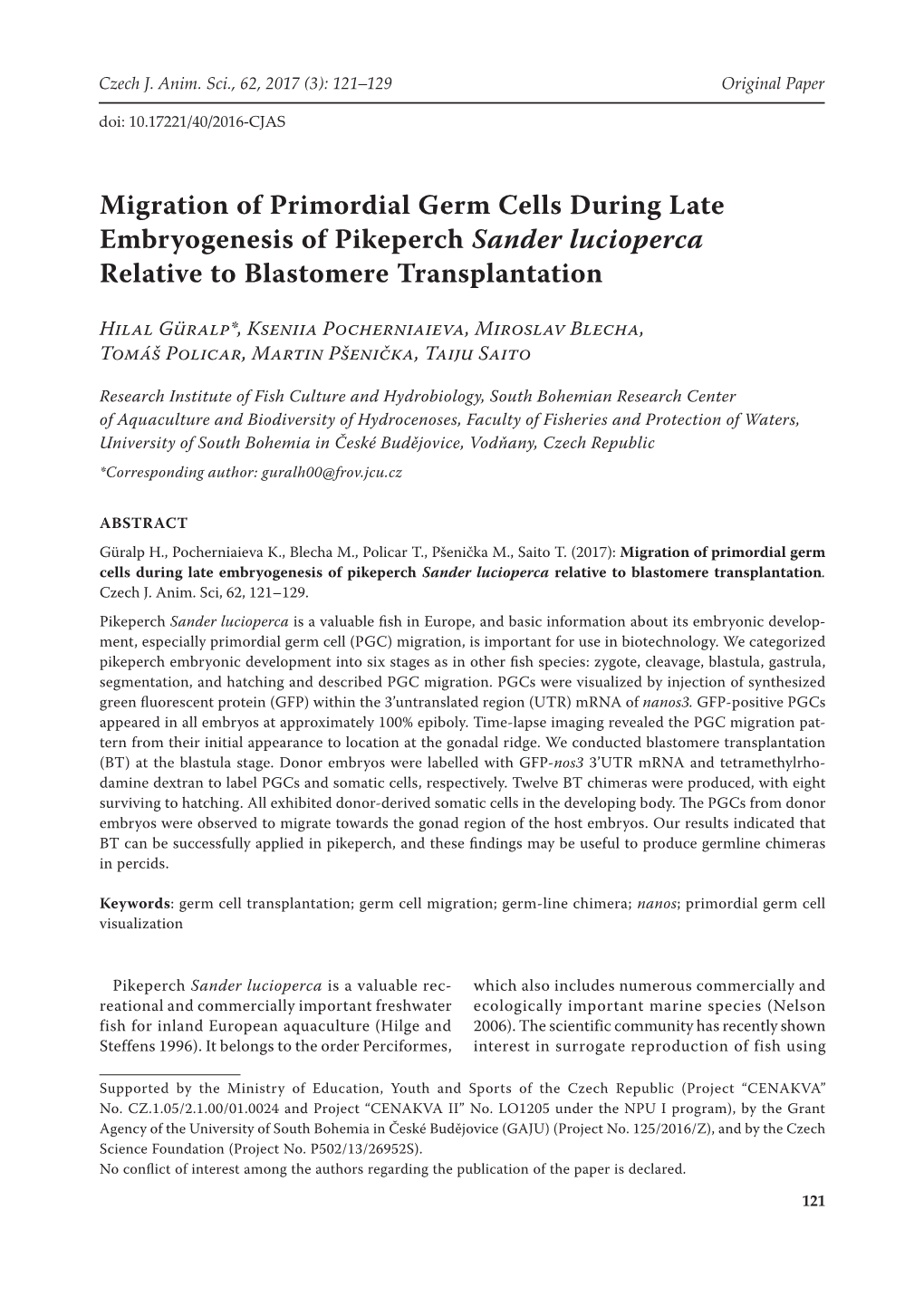 Migration of Primordial Germ Cells During Late Embryogenesis of Pikeperch Sander Lucioperca Relative to Blastomere Transplantation