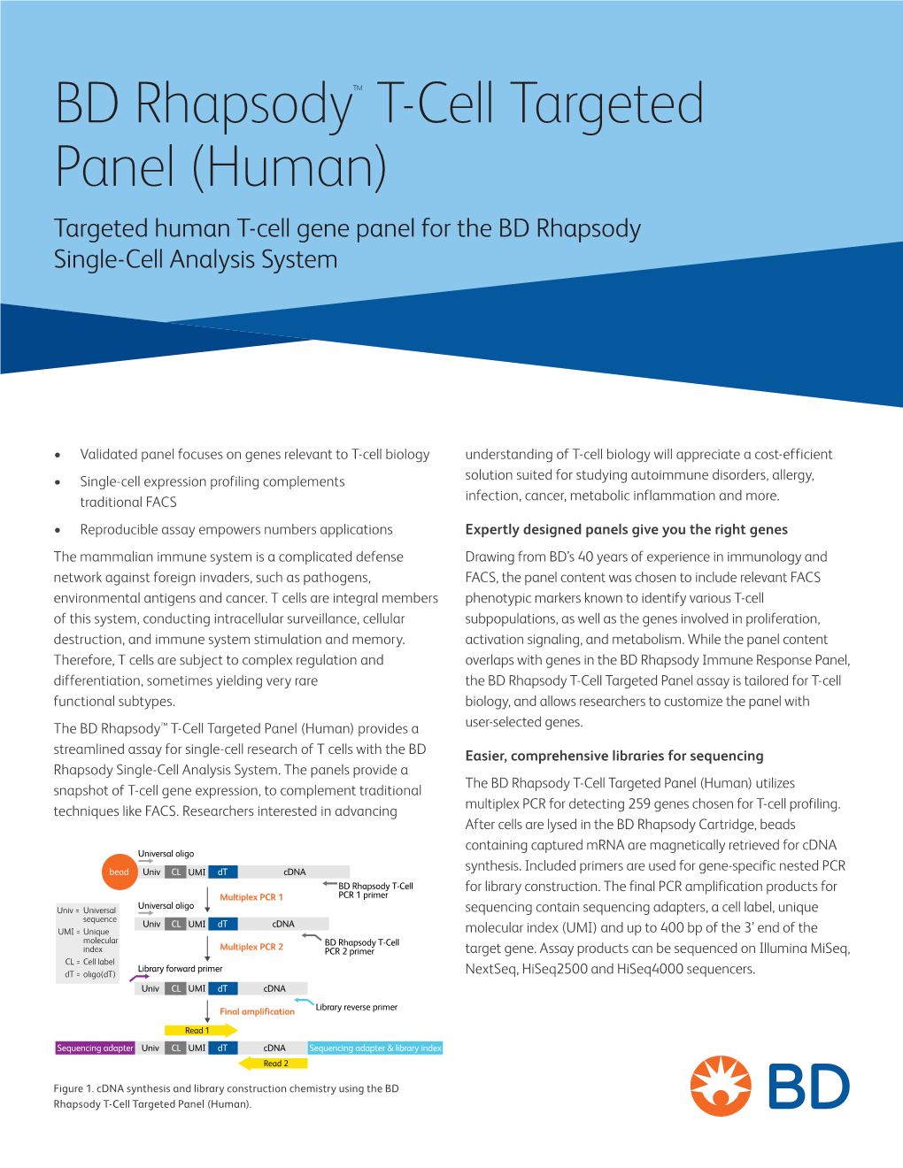 BD Rhapsody™ T-Cell Targeted Panel (Human) Targeted Human T-Cell Gene Panel for the BD Rhapsody Single-Cell Analysis System