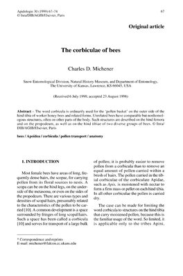 The Corbiculae of Bees
