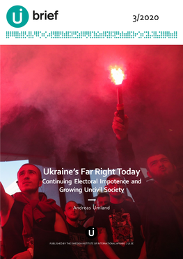 Ukraine's Far Right Today —