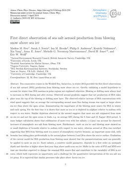 First Direct Observation of Sea Salt Aerosol Production from Blowing Snow Above Sea Ice Markus M