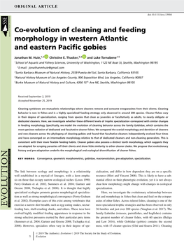 Co-Evolution of Cleaning and Feeding Morphology in Western Atlantic and Eastern Paciﬁc Gobies