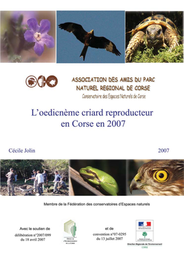 L'oedicnème Criard Reproducteur En Corse 2007