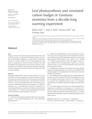 Leaf Photosynthesis and Simulated Carbon Budget of Gentiana
