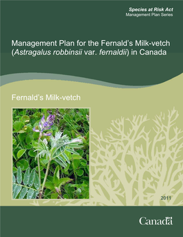 Fernald's Milk-Vetch (Astragalus Robbinsii Var. Fernaldii)