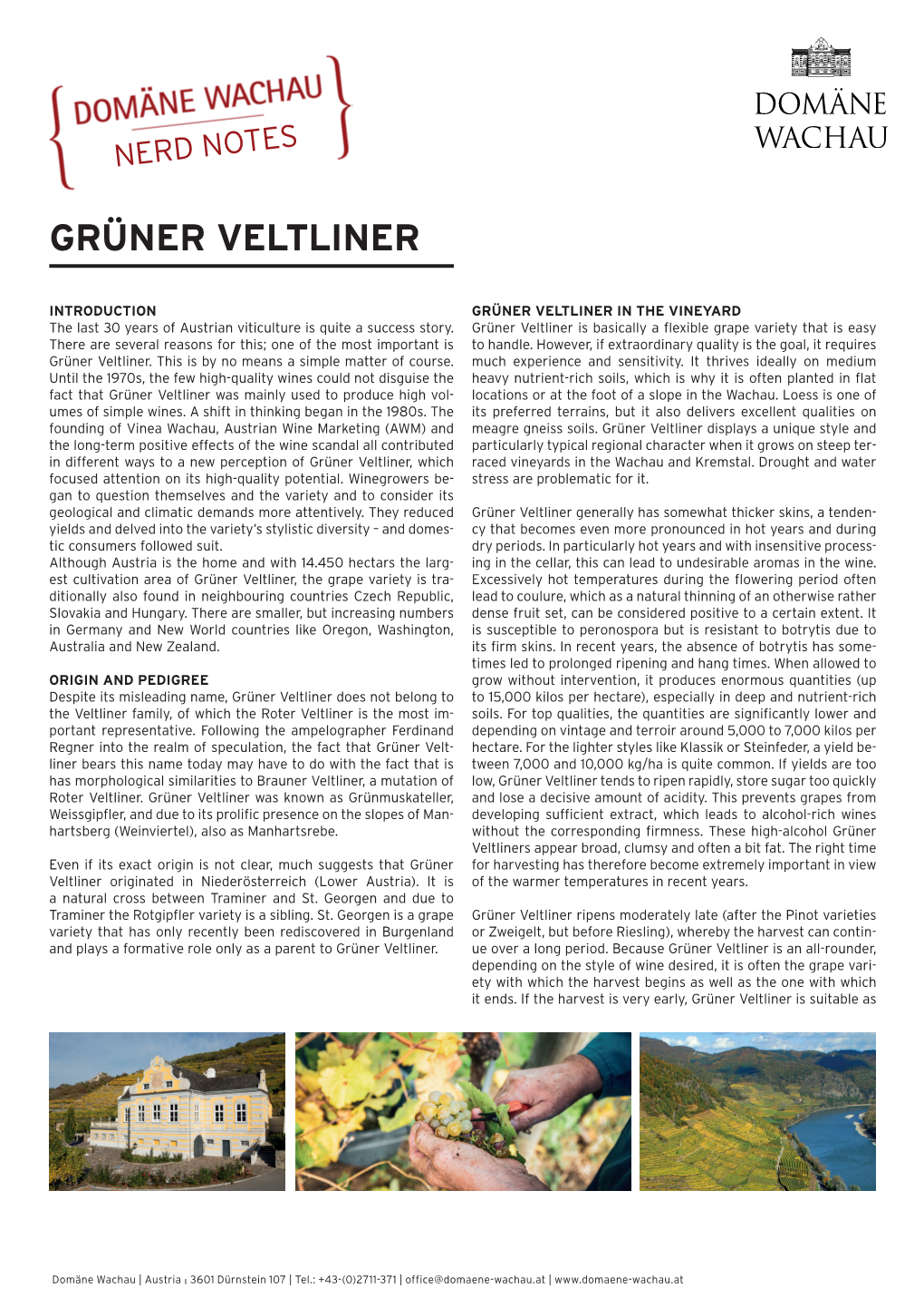 Grüner Veltliner