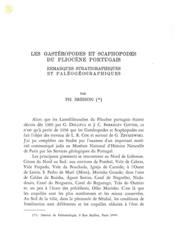 Les Gastéropodes Et Scaphopodes Du Pliocene Portugais